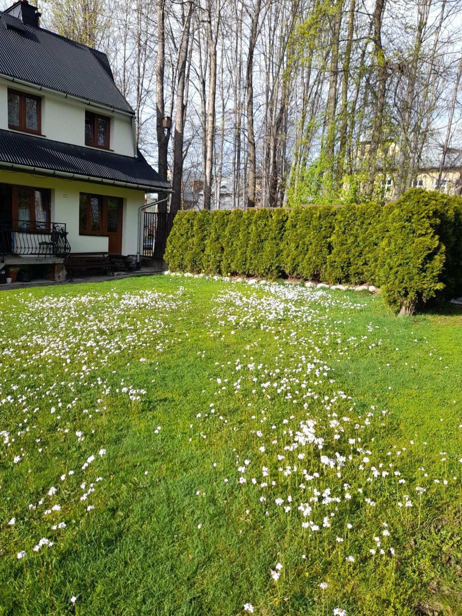 Pokoje Goscinne Kozica Zakopane Exterior foto